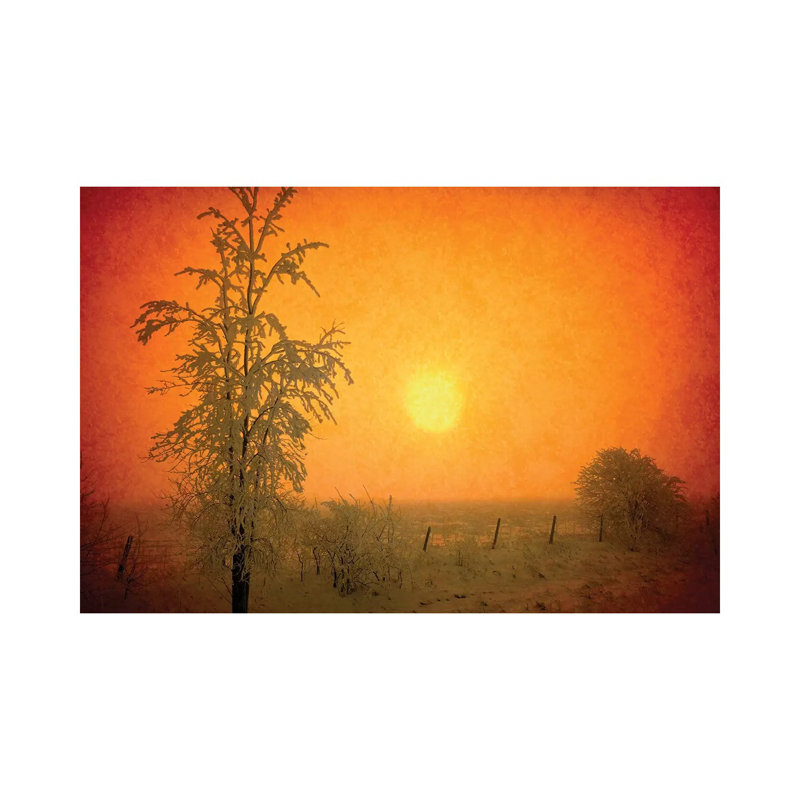 Canada. Abstract Of Frosty Sunrise. by Jaynes Gallery - Wrapped Canvas Gallery-Wrapped Canvas Giclée, 101.6 cm H x 66.04 cm W