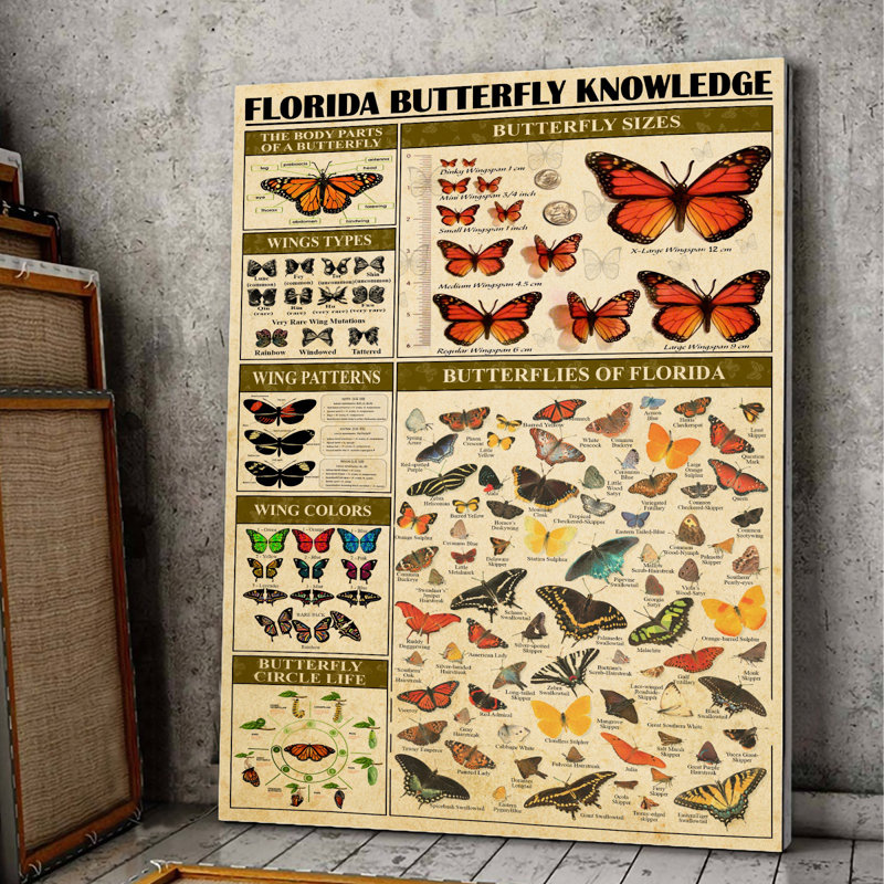 «Florida Butterfly», galerie d'art sur toile tendue - décor animalier rouge et noir, H 14 po x l 11 po x P 2 po