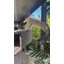 Enclos pour chat Catio