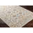Oriental Indoor Rug-1905749413