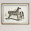 « équin sketch vii », impression-28042139-28042307-28042311