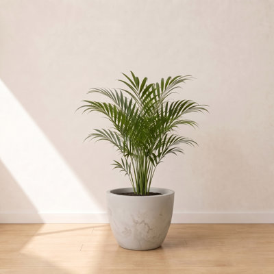 ECOBO Eco-Friendly Round Pot Planter, VicenzaIndoor/Outdoor use,Four Season Use