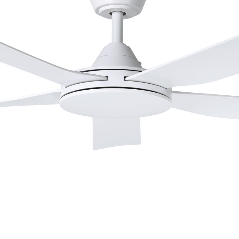 Adamsdale 52 inch Ceiling Fan, White