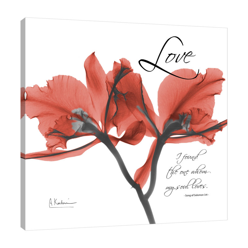 «par albert koetsier,, reproduction de photo Orchid Love X-Ray, H 35 po x l 35 po x P 1,5 po, Toile