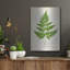 Art mural luxueux «Davallia Pyxidata» par Art Licensing Studio, 12 po x 16 po