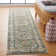 Oriental Area Rug