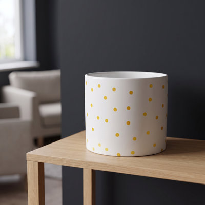Ceramic Indoor Cachepot