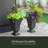 Stoneleigh Pot Planter-435881146-435881144