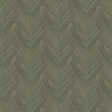 Designer Colors Feather Print Shimmer Wallpaper Roll