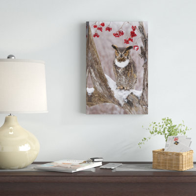 " Great Horned Owl "