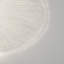 Onn Wall Sconce