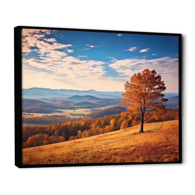 " Harmony On Virginia Shenandoah Valley ", Black Floater Framed, 12" H x 20" W x 1" D