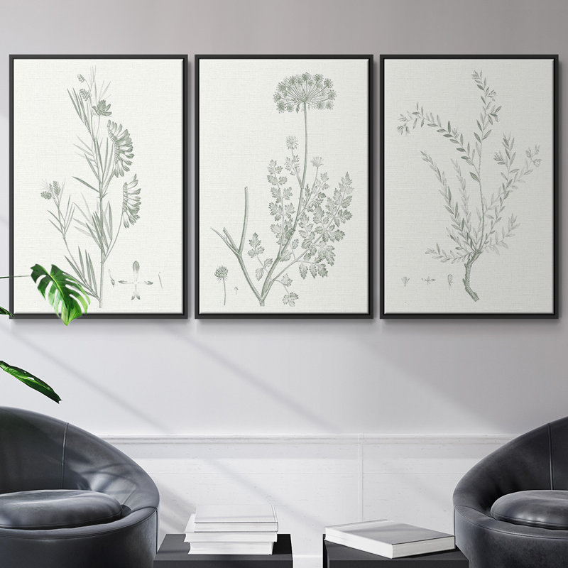 Botanical Study In Sage IX, ensemble de 3 toiles encadrées, H 27 po x l 54 po, Noir