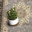 Oriental Area Rug-84895664