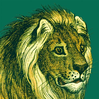 «Jungle Flair III» par Wild Apple Portfolio - impression