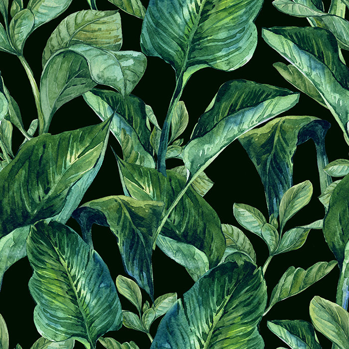 Gavazova Matte Mural, 312 x 219cm