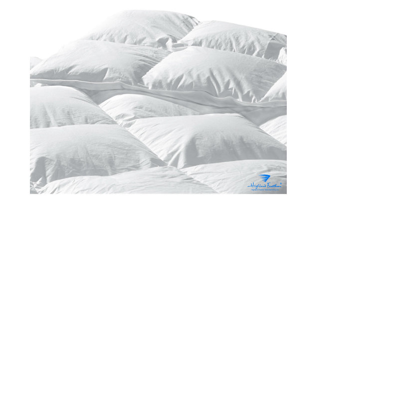 Santa Barbara Goose Down Comforter, Queen (25 oz)