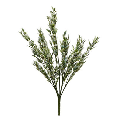 Buisson de bambou panaché