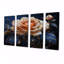 Limont - rose, art mural 4 pièces-106159026