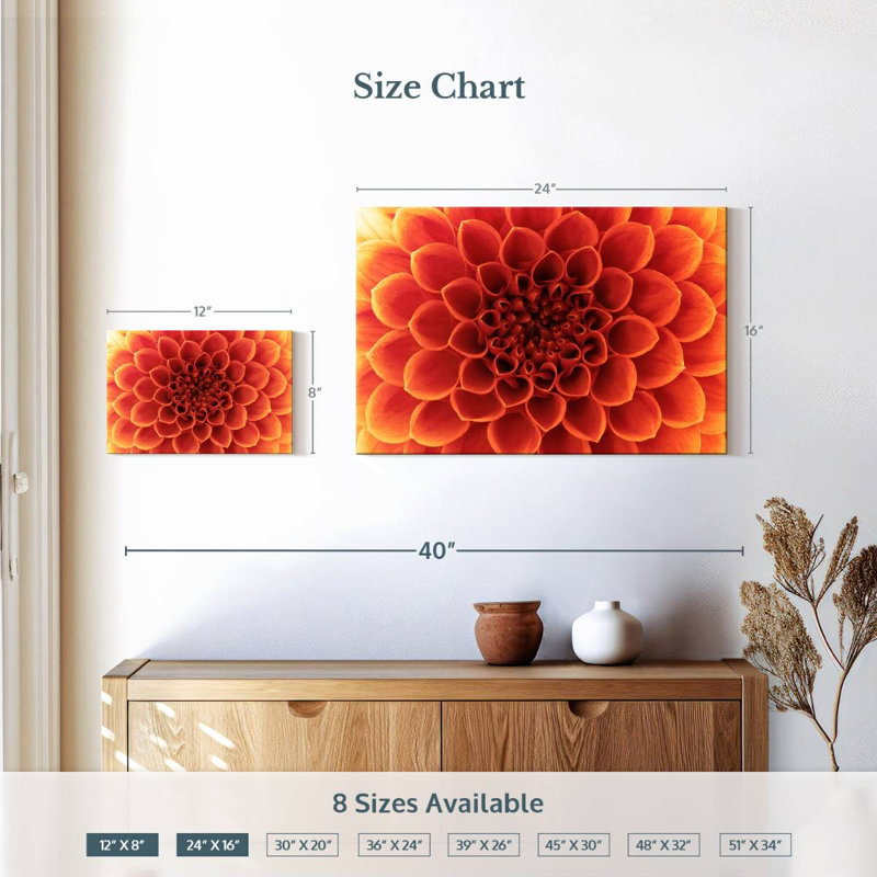 Dahlia orange Harnek, H 16 po x l 24 po