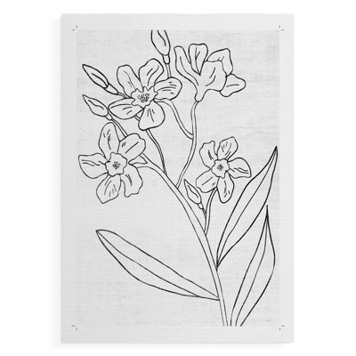 Croquis botanique II - reproduction de toile seulement - non encadrée