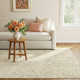 Britley Hand Tufted Wool Rug