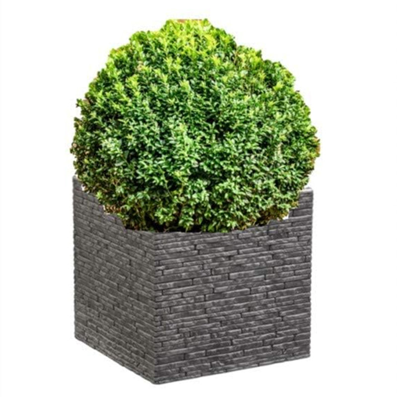 Pot Planter