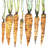 Watercolor Carrots - Modern Kitchen Poly Twill Throw | Decor