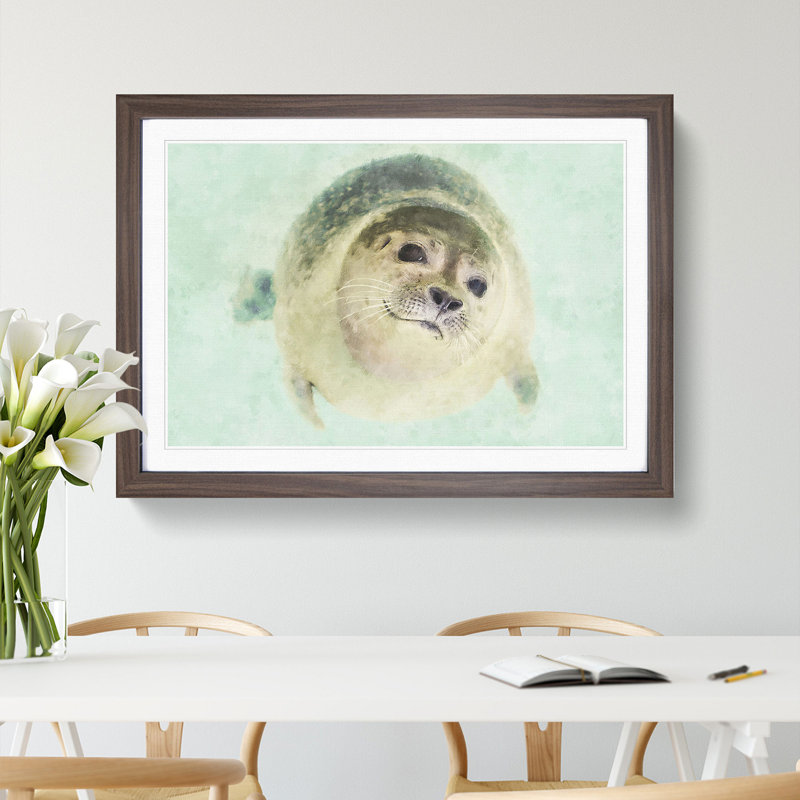 Seal - Picture Frame Graphic Art, Walnut Framed, 27cm H x 36cm W x 2cm D
