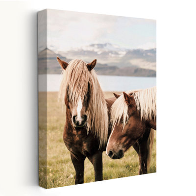 Abana - Photographie Animaux, Chevaux, Nature, Art animalier