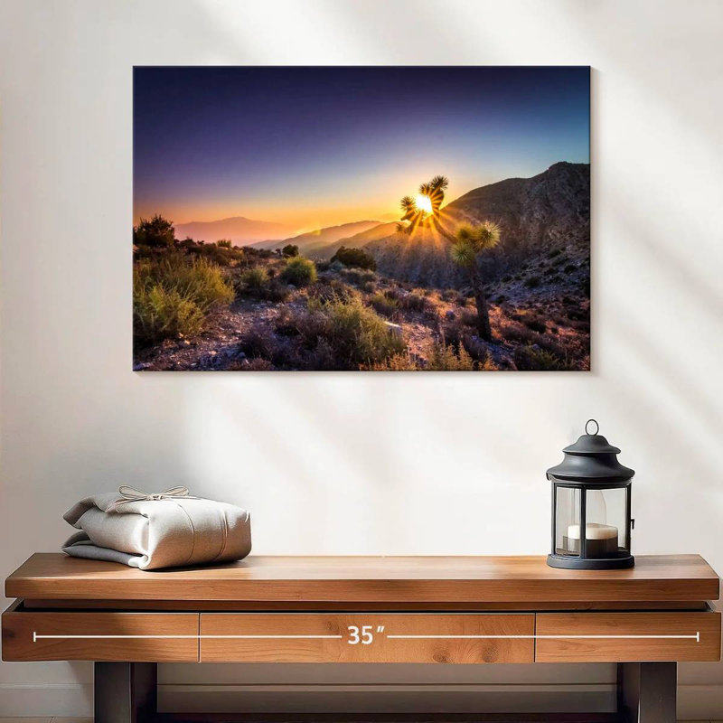 Hannes California Desert Sunrays, H 16 po x l 24 po