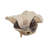 Textured Leaf Tray Decorative Accents for Coffee and Dining Table - Centerpiece Display for Home Decor as Entryway Organizer