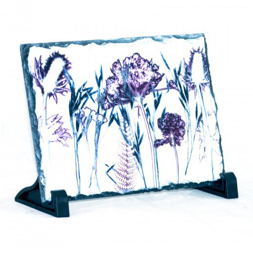 Medeiros Landscape & Nature Decorative Plaque / Box Sign