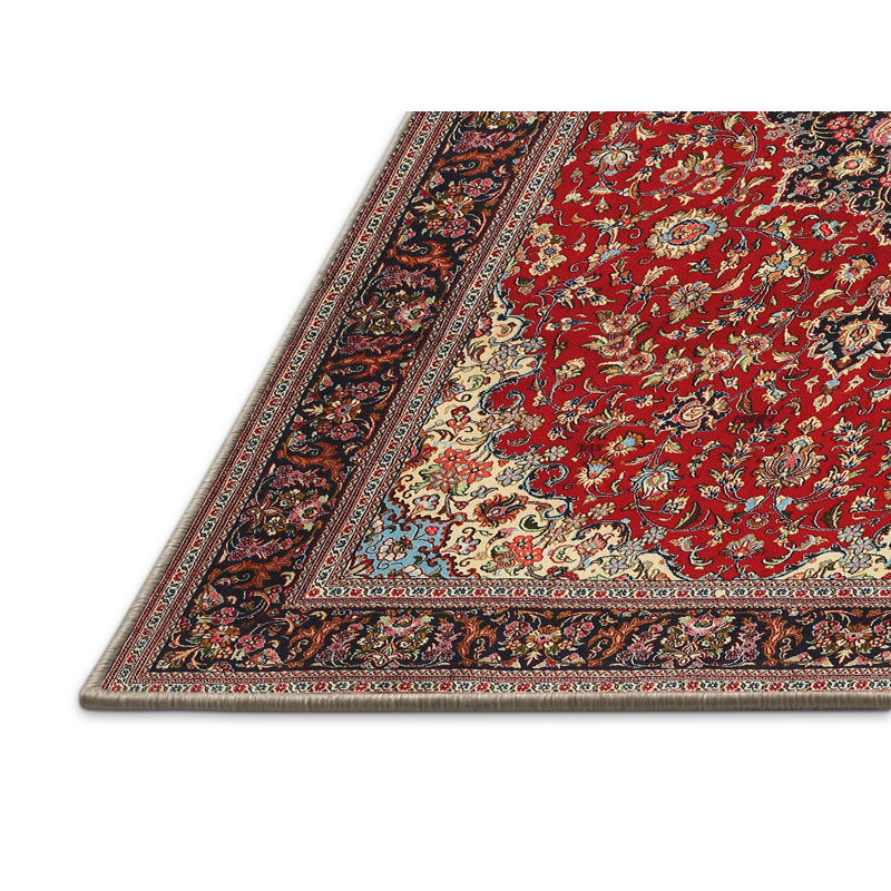 Oriental Indoor Rug, Rectangle 4' x 6'
