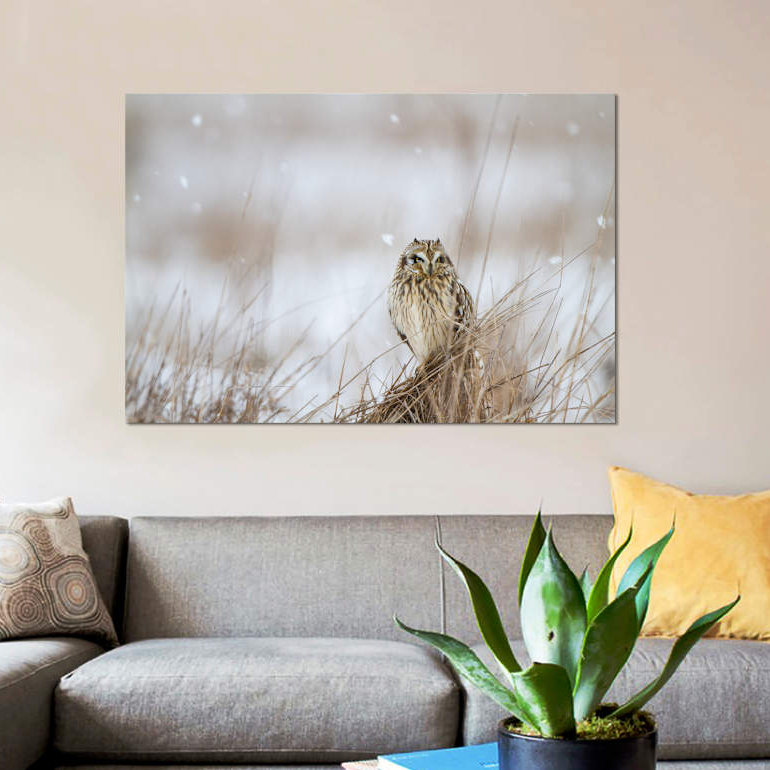 Prairie winter, impression sur toile, H 26 po x l 40 po x P 1,5 po, Toile tendue, Pas de tapis