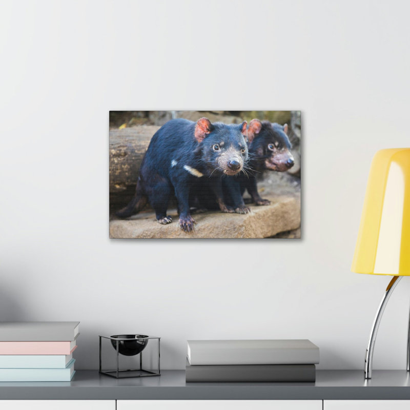 No Frame Print on Canvas, 27.94cm H x 35.56cm W