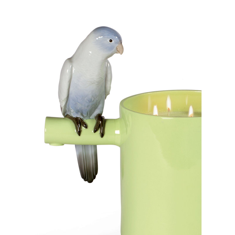 Bougie parfumée Parrot Party