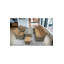 Ensemble de mobilier de jardin