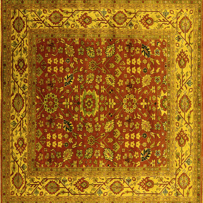 Performance Oriental Indoor Rug