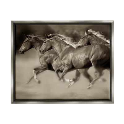 Galloping Horse Herd Trotting Wild Animal by Lisa Dearing - Photograph on Canvas