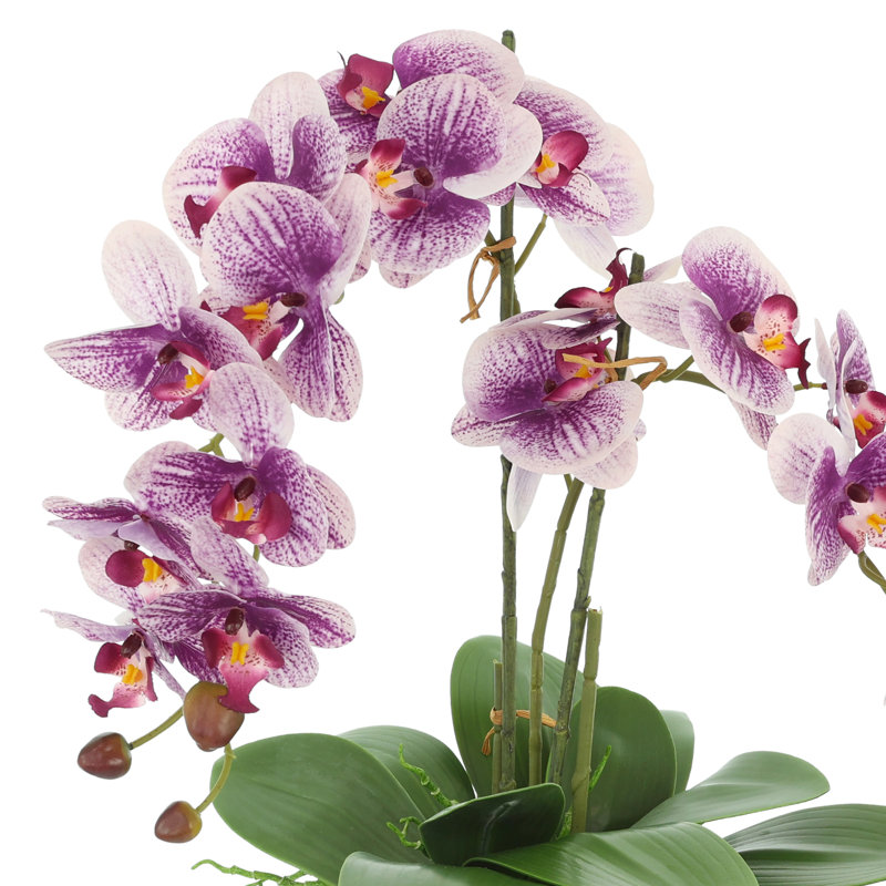 Orchid Arrangement in Square Fiberstone Pot, Purple