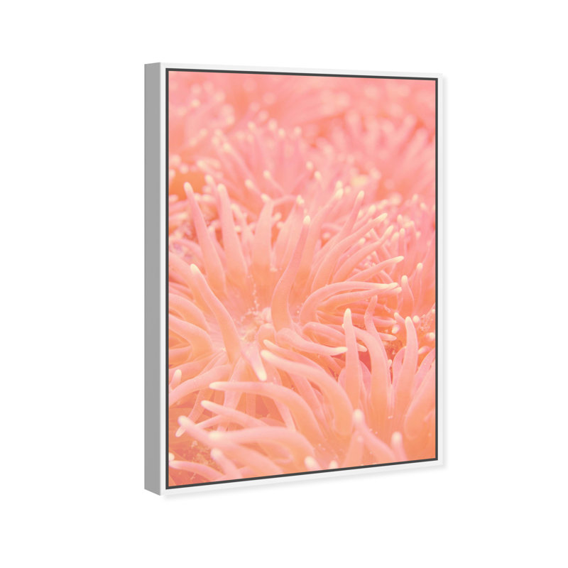 Deep Sea Flowers Canvas Nautical & Beach Print by Oliver Gal, Black Frame, 10 x 15, 37"H x 55"W, White Floater Frame