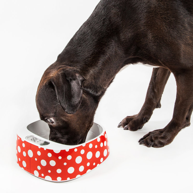 Bol pour animaux Petkit PETKIT FRESH