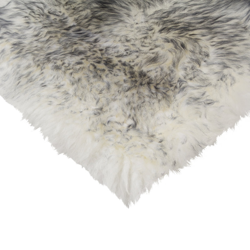 Coussins de chaise en laine, Noir, noir, noir, noir, 17 po x 17 po, 4
