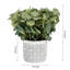 Artificial Plant