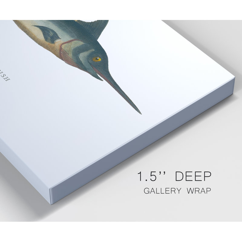 « Common Sword-Fish »-reproduction d’art sur toile, H 36 po x l 24 po x P 1 po