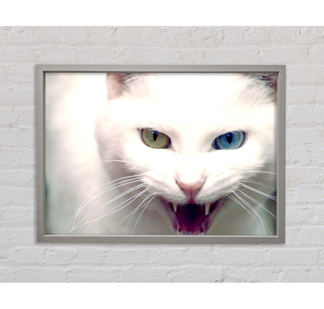 Wild White Cat Gerahmter Druck