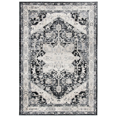 Alberte Performance Oriental Rug