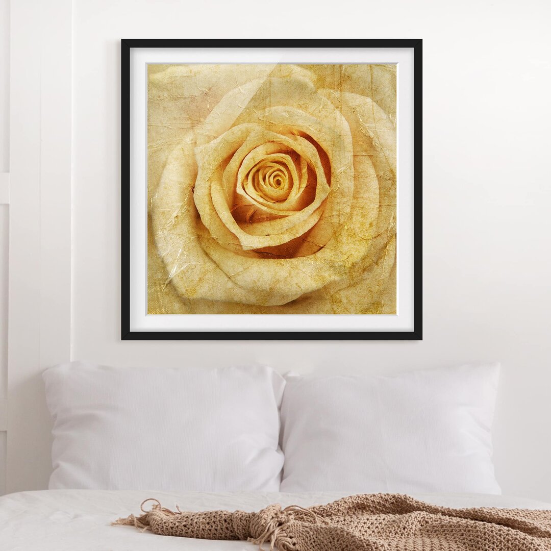 Gerahmtes Papierbild Vintage Rose