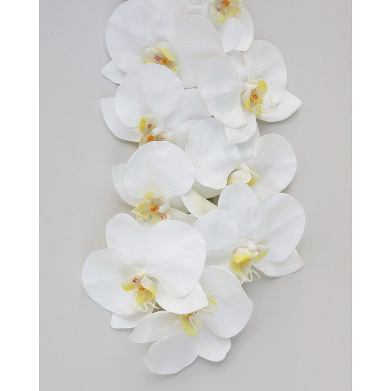 Green Phalaenopsis Orchid 33", White, 34" H x 3" W